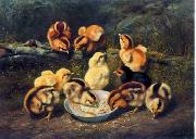 unknow artist, chickens 197